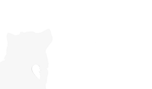 Find Humanity